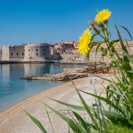 라구시나 럭셔리 *